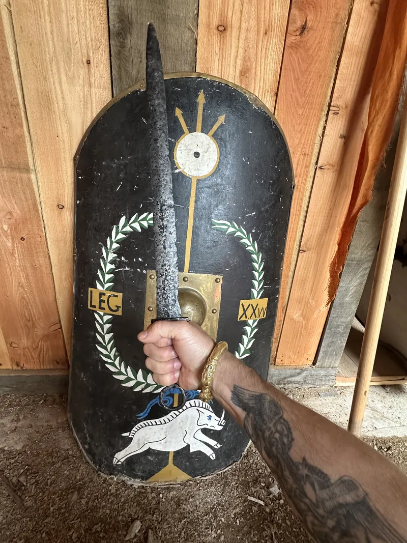 A hand holding a Roman shield painted with a wolf and a laurel wreath